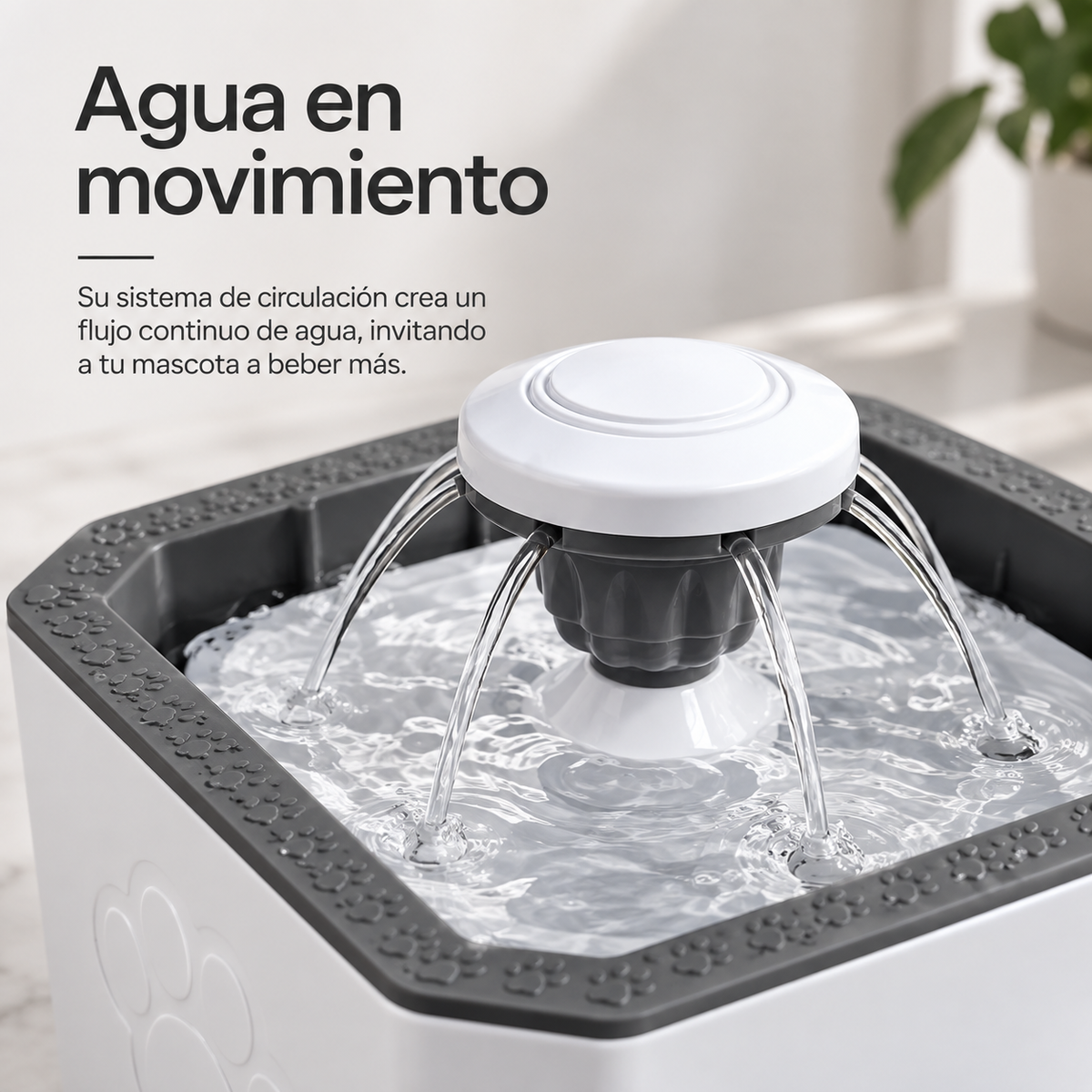 Dispenser de agua para Mascota